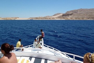 Tiran Island snorkeling trip, Lunch & Transfer - Sharm El sheikh - Image 2