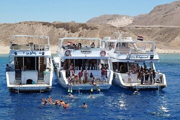 Tiran Island snorkeling trip, Lunch & Transfer - Sharm El sheikh - Image 4
