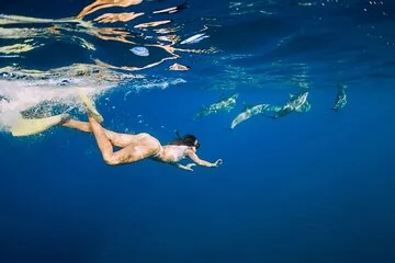 3 Pools National Park Camel & Tour in Dahab - Sharm El Sheikh - Image 4