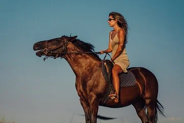 Experience Camel or Horse Ride with Transfers – Sharm El Sheikh