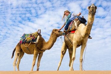 Experience Camel or Horse Ride with Transfers – Sharm El Sheikh - Image 2
