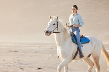 Experience Camel or Horse Ride with Transfers – Sharm El Sheikh - Image 3
