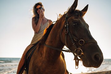 Experience Camel or Horse Ride with Transfers – Sharm El Sheikh - Image 4