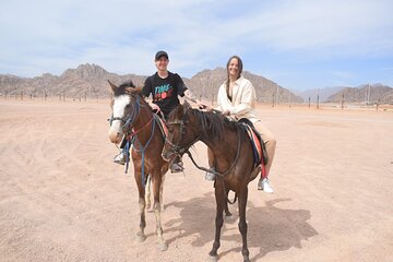 Horse or Camel Ride in the Desert with Transfer - Sharm El Sheikh - Image 1