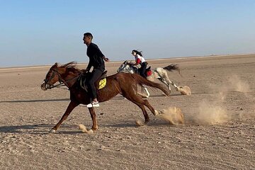 Horse or Camel Ride in the Desert with Transfer - Sharm El Sheikh - Image 2