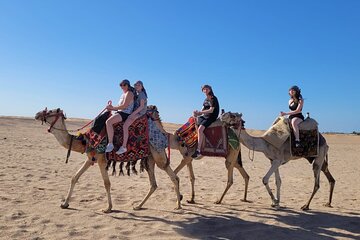 Horse or Camel Ride in the Desert with Transfer - Sharm El Sheikh - Image 3