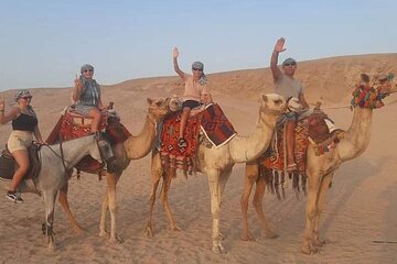 Horse or Camel Ride in the Desert with Transfer - Sharm El Sheikh - Image 4