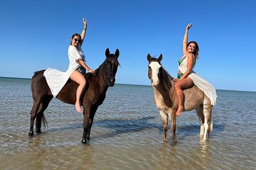 Turkish Bath & Horseback Riding with Transfer - Sharm El Sheikh - Image 2