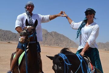 Horseback Ride, Egyptian Show & Bedouin Dinner - Sharm El Sheikh - Image 2