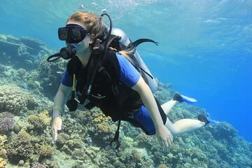 Beginner Scuba Dive 2 diving Stops & Lunch Boat Trip - El Quseir - Image 1