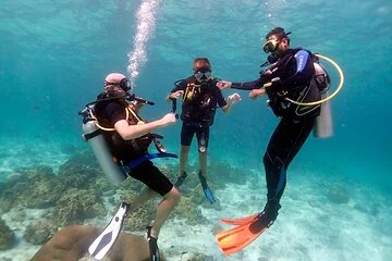 Beginner Scuba Dive 2 diving Stops & Lunch Boat Trip - El Quseir - Image 2