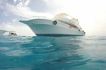 Beginner Scuba Dive 2 diving Stops & Lunch Boat Trip - El Quseir - Image 3