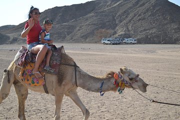 ATV Quad Safari and Camel Ride With Transfer - Marsa Alam - Image 2