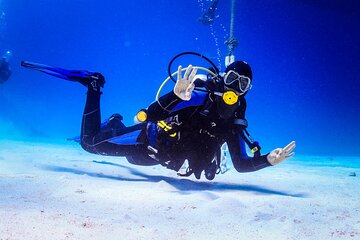 Two dives For Professional Divers Full Day Trip Wreck SCUBA equipment - Hurghada - Image 1
