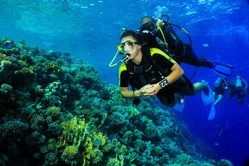 Two dives For Professional Divers Full Day Trip Wreck SCUBA equipment - Hurghada - Image 2