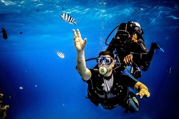 Two dives For Professional Divers Full Day Trip Wreck SCUBA equipment - Hurghada - Image 3