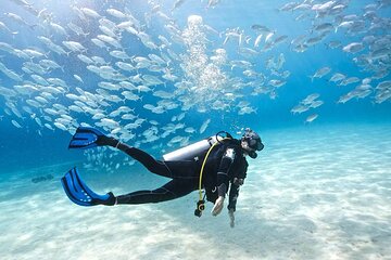 Diving Full Day 2 Stops Boat Trip For Beginners With Lunch and Transfer–Hurghada - Image 3