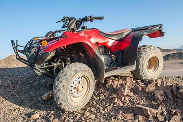 3 Hours Safari Afternoon By ATV Quad & Camel Ride With Transfer - Marsa Alam - Image 4