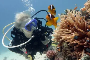 Discover Orange Bay Island: Hurghada's Ultimate Snorkeling Paradise