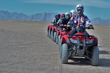 3 Pools National Park by Bus, Camel & ATV Quad - Sharm El Sheikh - Image 2
