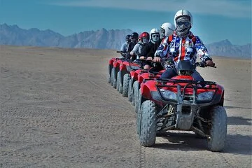 3 Pools National Park by Bus, Camel & ATV Quad - Sharm El Sheikh - Image 2