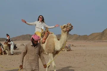 3 Pools National Park by Bus, Camel & ATV Quad - Sharm El Sheikh - Image 4