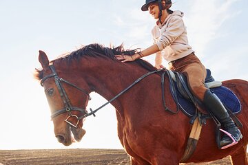Desert Journey, Experience Camel or Horse Ride - Sharm El Sheikh - Image 2