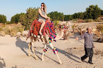 Horseback or Camel Riding in Nabq Bay Desert – Sharm El Sheikh - Image 4