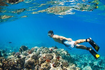 Marsa Mubarak Unforgettable Snorkeling Trip & Lunch – Marsa Alam - Image 2