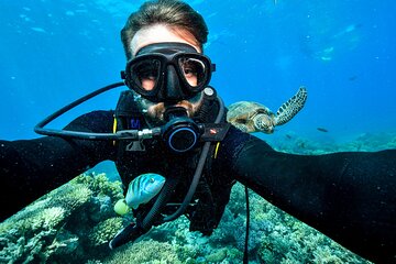 Marsa Mubarak Snorkel & one intro Dive With Lunch - Marsa Alam - Image 1