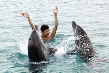 Dolphin Swim by Semi Private Speedboat, Water Activities-Hurghada - Image 3