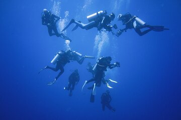PADI Open Water Course, Advance Your Dive Skills - Hurghada - Image 2