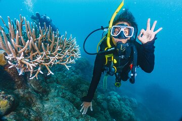 PADI Open Water Course, Advance Your Dive Skills - Hurghada - Image 3