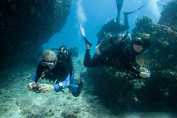 PADI Open Water Course, Advance Your Dive Skills - Hurghada - Image 4