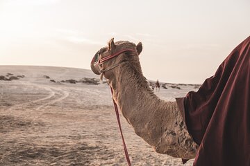 Ultimate Safari Adventure, ATV Quad With Camel Ride - Hurghada - Image 3