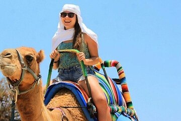 Majestic Camel Rides Through the Enchanting Desert - Hurghada - Image 1
