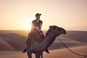 عرض كل الصور