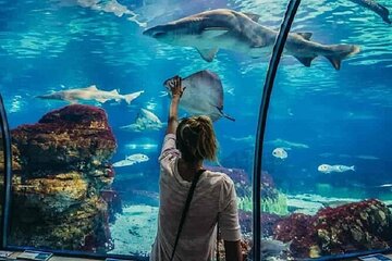 Explore the Wonders of the Grand Aquarium Adventure - Hurghada - Image 1