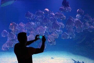 Explore the Wonders of the Grand Aquarium Adventure - Hurghada - Image 2