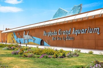 Explore the Wonders of the Grand Aquarium Adventure - Hurghada - Image 3