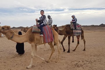 عرض كل الصور