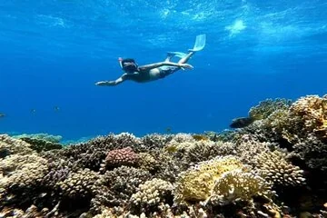 1 Hour Fun Package Banana Boat and Butterfly in Sharm El-Sheikh - Image 4