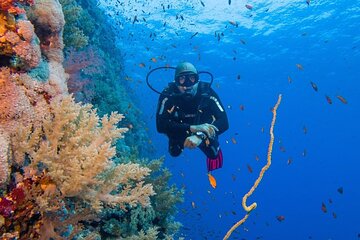 Explore Hurghada Two Thrilling Boat Dives for Certified Divers - Image 1