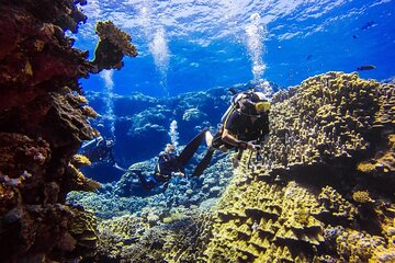 Explore Hurghada Two Thrilling Boat Dives for Certified Divers - Image 2