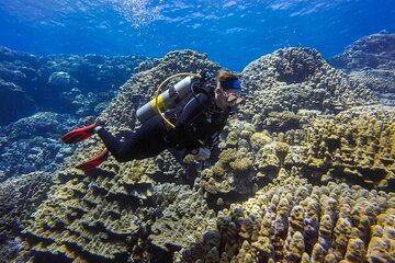 Explore Hurghada Two Thrilling Boat Dives for Certified Divers - Image 3