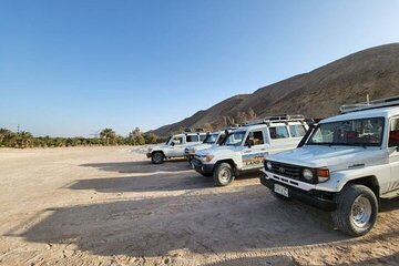 Stargazing With Dinner And Bedouin Ambiance Led By Skilled Guide - Image 2