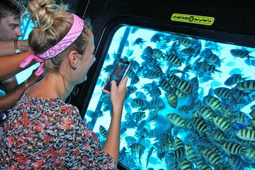 Semi Submarine Sea Scope with Snorkeling Experience in Hurghada - Image 1