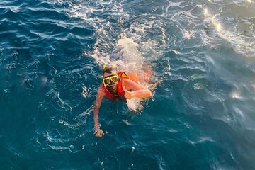 Semi Submarine Sea Scope with Snorkeling Experience in Hurghada - Image 2
