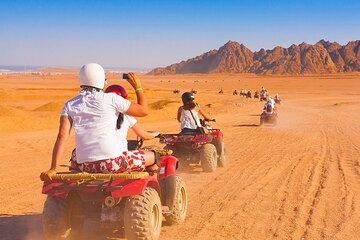 Royal Safari Trip in Hurghada - Image 4