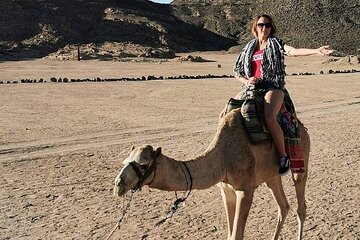 Hurghada Safari Trip Quad, Buggy, Jeep, Camel, Dinner, and Show - Image 3